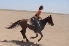 Desert Riding