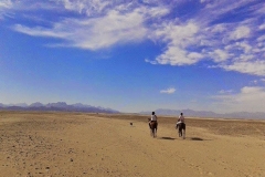 Desert Riding