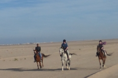 Desert Riding