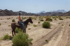 Desert Riding