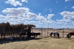 WhatsApp-Image-2026-03-17-at-08.41.50