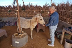 WhatsApp-Image-2026-03-17-at-08.53.51