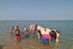 WhatsApp-Image-2026-03-17-at-08.54.41