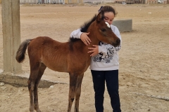 WhatsApp-Image-2026-03-18-at-15.52.26-scaled