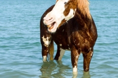 WhatsApp-Image-2026-03-18-at-15.52.52