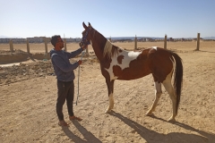 WhatsApp-Image-2026-03-18-at-15.56.53-scaled