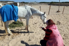 16427770_1849815878627286_403502098246850740_n