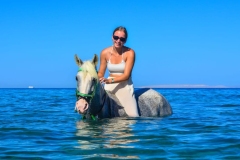 WhatsApp-Image-2026-03-26-at-11.29.20