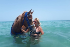 WhatsApp-Image-2026-03-26-at-11.29.21