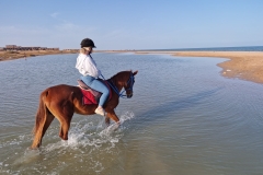 WhatsApp-Image-2026-03-26-at-11.29.22-1-scaled