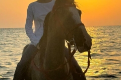 WhatsApp-Image-2026-03-26-at-11.29.22