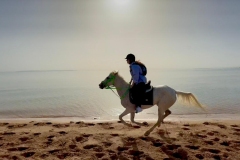 WhatsApp-Image-2026-03-26-at-11.29.24