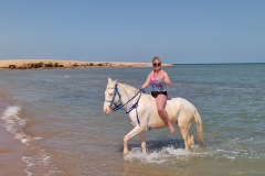 WhatsApp-Image-2026-03-26-at-11.29.25-scaled