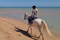 WhatsApp-Image-2026-03-26-at-11.29.26