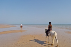 WhatsApp-Image-2026-03-26-at-11.29.27-scaled