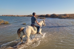 WhatsApp-Image-2026-03-26-at-11.29.29-scaled