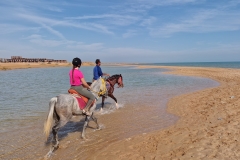 WhatsApp-Image-2026-03-26-at-11.29.32-scaled