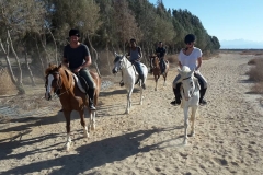 19149250_1919158998359640_3718521499226861178_n