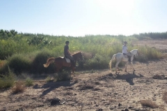 19247944_1919159241692949_6954934449019053963_n