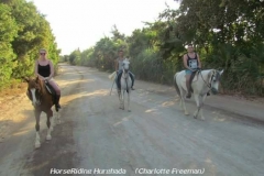 19756809_1928768204065386_6564635067419411370_n