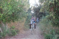 19875090_1928768134065393_8104135126674835542_n